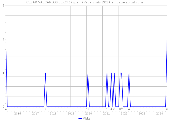 CESAR VALCARLOS BEROIZ (Spain) Page visits 2024 