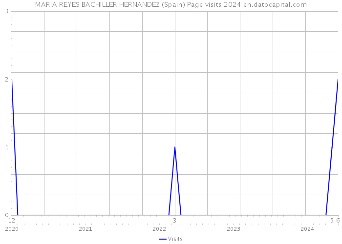 MARIA REYES BACHILLER HERNANDEZ (Spain) Page visits 2024 