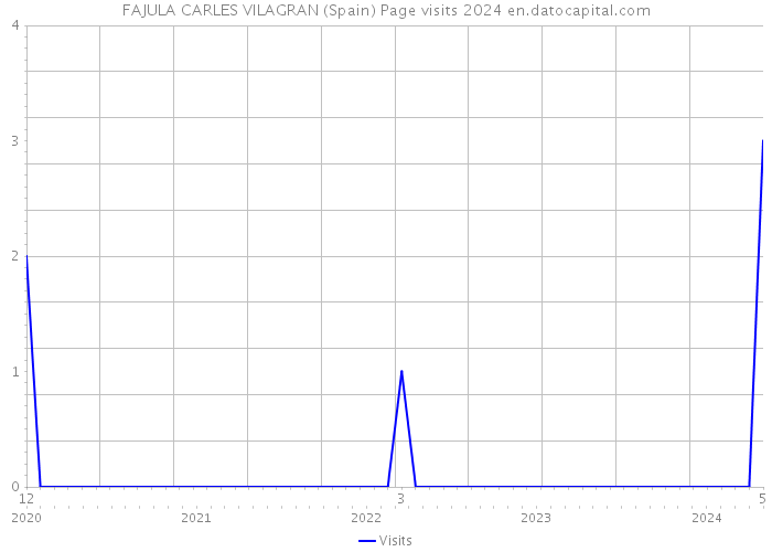 FAJULA CARLES VILAGRAN (Spain) Page visits 2024 