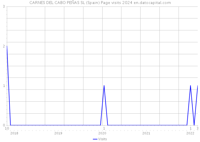 CARNES DEL CABO PEÑAS SL (Spain) Page visits 2024 