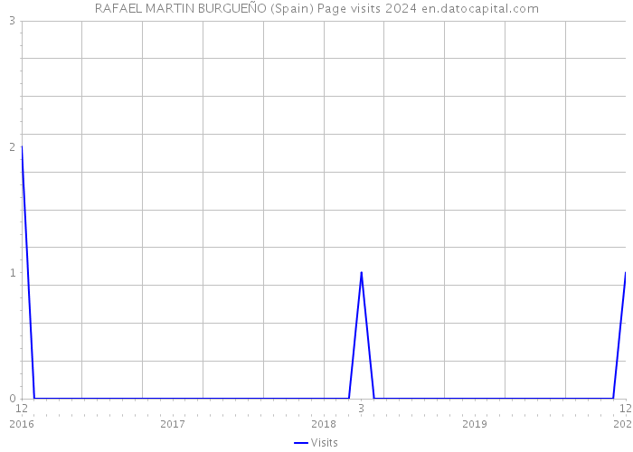 RAFAEL MARTIN BURGUEÑO (Spain) Page visits 2024 