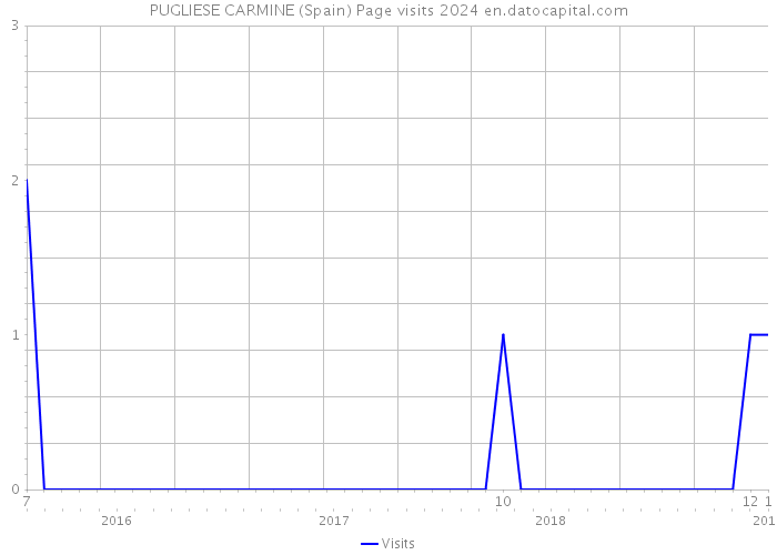 PUGLIESE CARMINE (Spain) Page visits 2024 