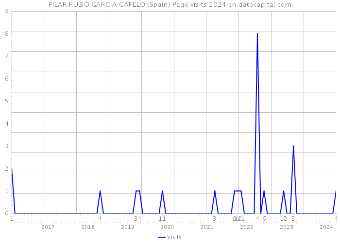 PILAR RUBIO GARCIA CAPELO (Spain) Page visits 2024 