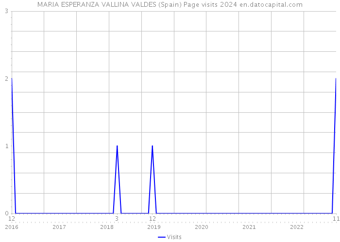 MARIA ESPERANZA VALLINA VALDES (Spain) Page visits 2024 