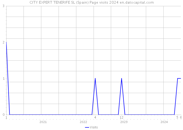 CITY EXPERT TENERIFE SL (Spain) Page visits 2024 