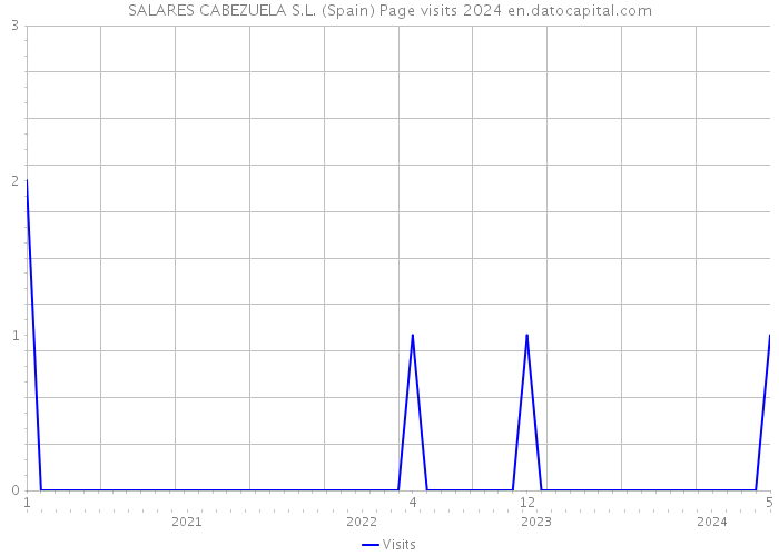 SALARES CABEZUELA S.L. (Spain) Page visits 2024 