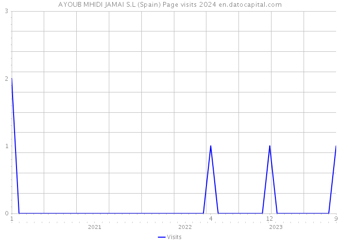 AYOUB MHIDI JAMAI S.L (Spain) Page visits 2024 