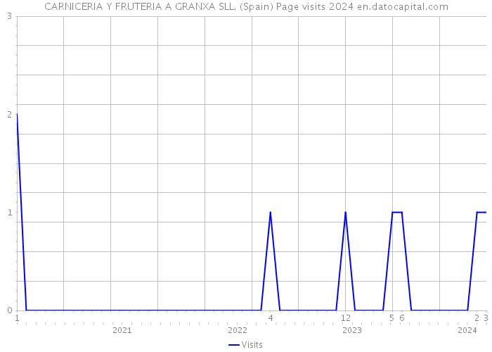 CARNICERIA Y FRUTERIA A GRANXA SLL. (Spain) Page visits 2024 