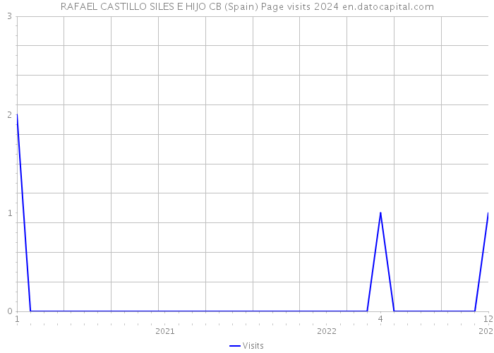 RAFAEL CASTILLO SILES E HIJO CB (Spain) Page visits 2024 