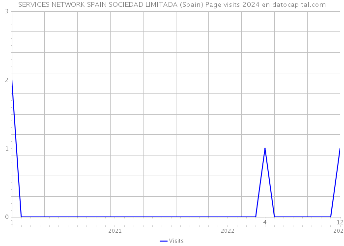 SERVICES NETWORK SPAIN SOCIEDAD LIMITADA (Spain) Page visits 2024 