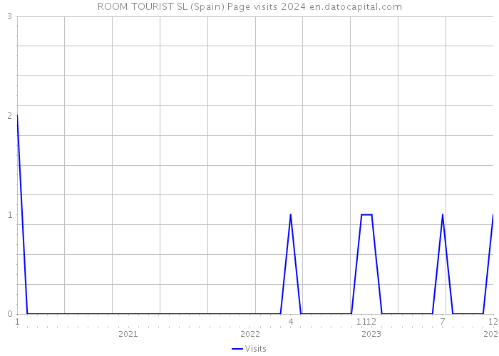 ROOM TOURIST SL (Spain) Page visits 2024 