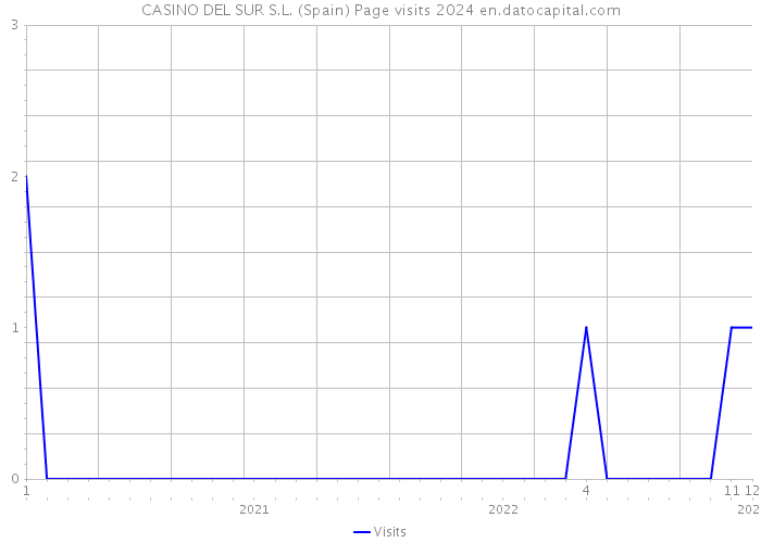 CASINO DEL SUR S.L. (Spain) Page visits 2024 