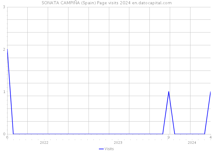 SONATA CAMPIÑA (Spain) Page visits 2024 