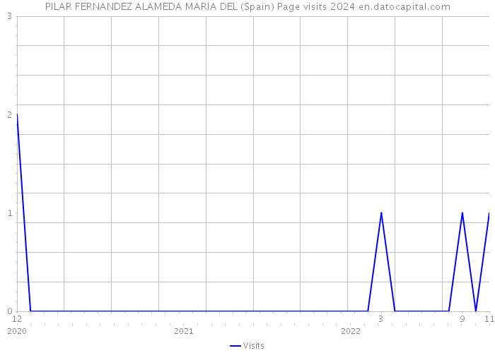 PILAR FERNANDEZ ALAMEDA MARIA DEL (Spain) Page visits 2024 