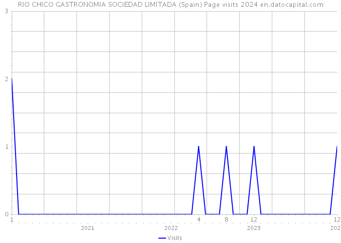 RIO CHICO GASTRONOMIA SOCIEDAD LIMITADA (Spain) Page visits 2024 