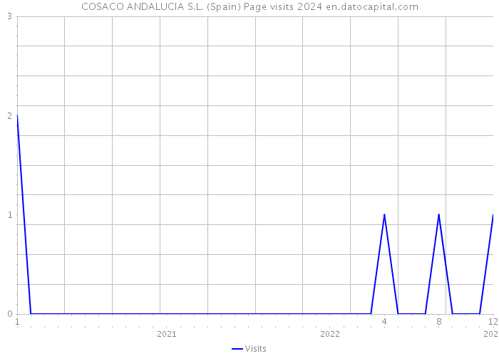 COSACO ANDALUCIA S.L. (Spain) Page visits 2024 