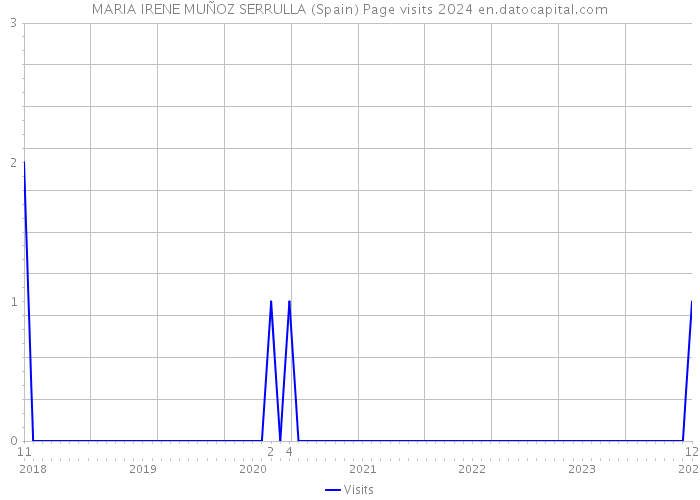 MARIA IRENE MUÑOZ SERRULLA (Spain) Page visits 2024 