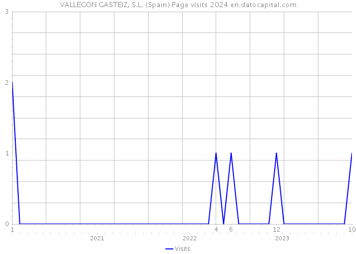 VALLEGON GASTEIZ, S.L. (Spain) Page visits 2024 