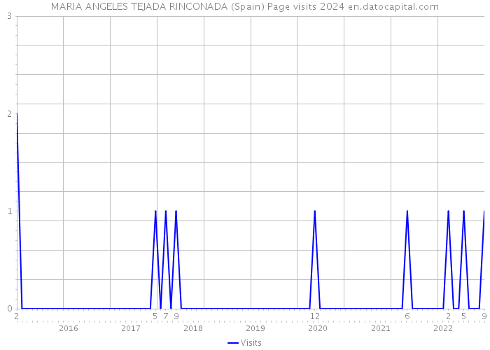 MARIA ANGELES TEJADA RINCONADA (Spain) Page visits 2024 