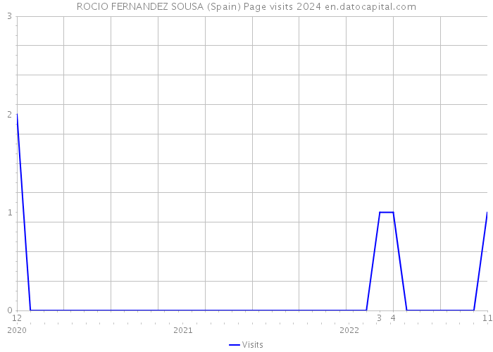 ROCIO FERNANDEZ SOUSA (Spain) Page visits 2024 