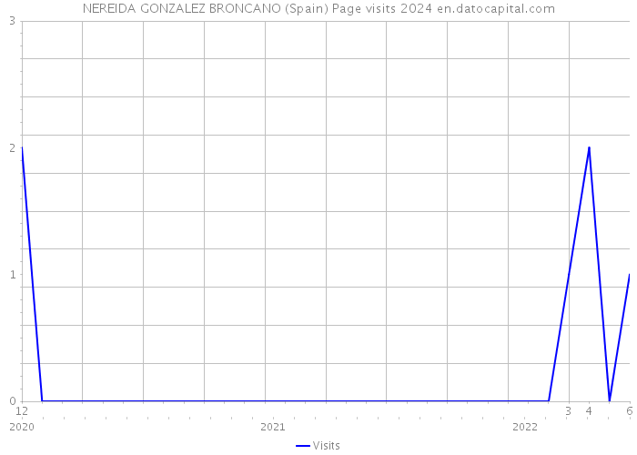 NEREIDA GONZALEZ BRONCANO (Spain) Page visits 2024 