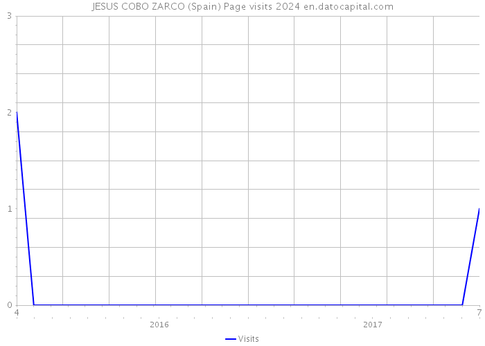 JESUS COBO ZARCO (Spain) Page visits 2024 