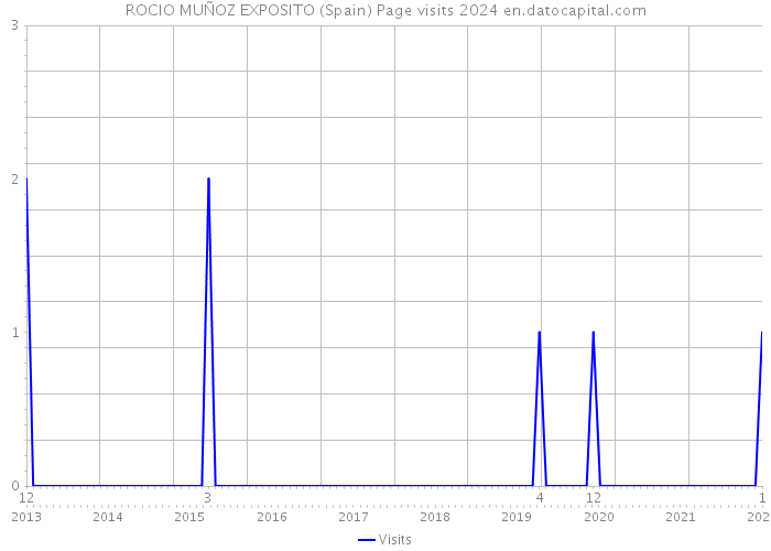 ROCIO MUÑOZ EXPOSITO (Spain) Page visits 2024 