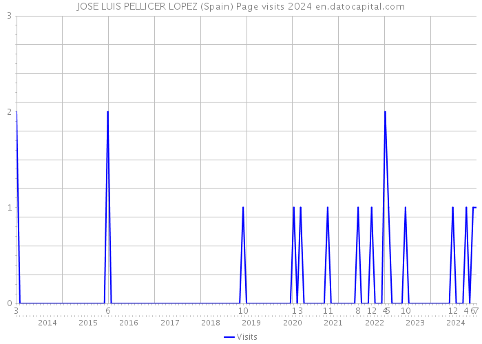 JOSE LUIS PELLICER LOPEZ (Spain) Page visits 2024 