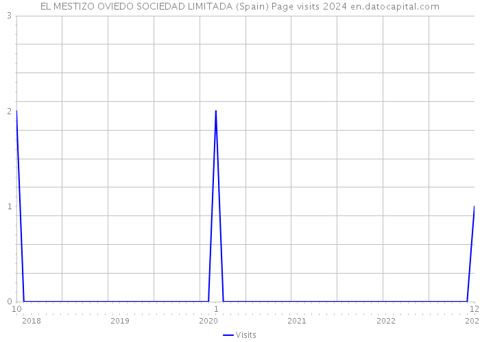 EL MESTIZO OVIEDO SOCIEDAD LIMITADA (Spain) Page visits 2024 