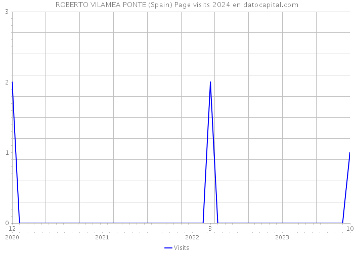 ROBERTO VILAMEA PONTE (Spain) Page visits 2024 