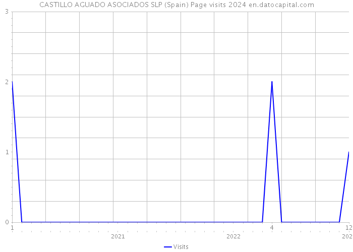 CASTILLO AGUADO ASOCIADOS SLP (Spain) Page visits 2024 