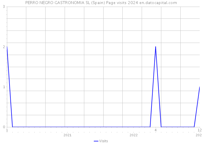 PERRO NEGRO GASTRONOMIA SL (Spain) Page visits 2024 