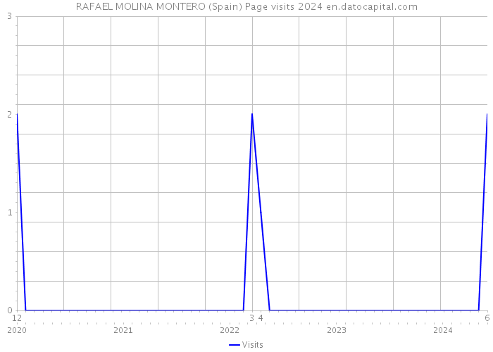 RAFAEL MOLINA MONTERO (Spain) Page visits 2024 