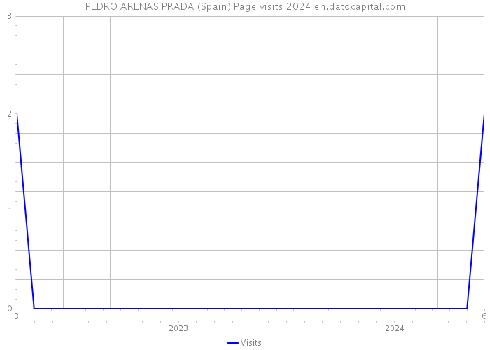 PEDRO ARENAS PRADA (Spain) Page visits 2024 