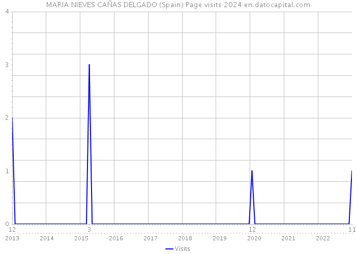 MARIA NIEVES CAÑAS DELGADO (Spain) Page visits 2024 