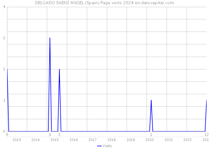 DELGADO SAENZ ANGEL (Spain) Page visits 2024 