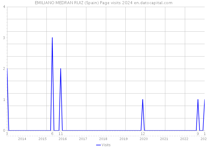 EMILIANO MEDRAN RUIZ (Spain) Page visits 2024 