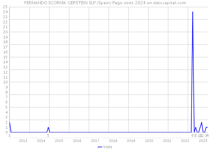 FERNANDO SCORNIK GERSTEIN SLP (Spain) Page visits 2024 