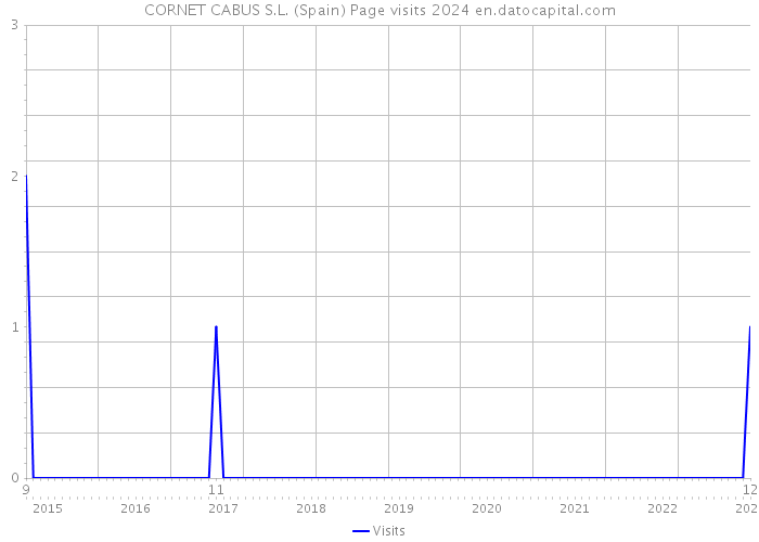 CORNET CABUS S.L. (Spain) Page visits 2024 