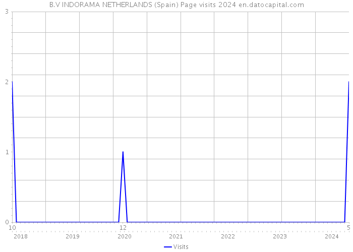 B.V INDORAMA NETHERLANDS (Spain) Page visits 2024 