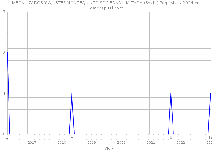 MECANIZADOS Y AJUSTES MONTEQUINTO SOCIEDAD LIMITADA (Spain) Page visits 2024 