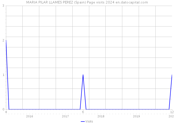 MARIA PILAR LLAMES PEREZ (Spain) Page visits 2024 