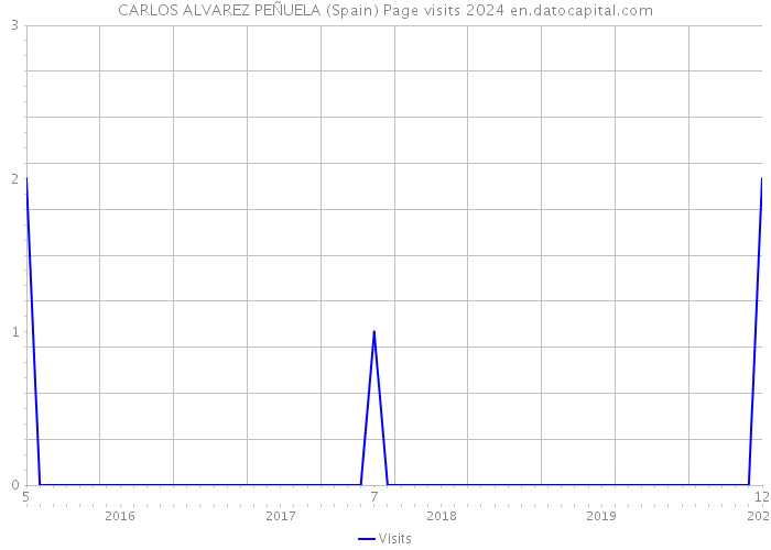 CARLOS ALVAREZ PEÑUELA (Spain) Page visits 2024 