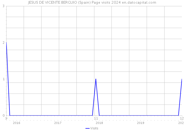 JESUS DE VICENTE BERGUIO (Spain) Page visits 2024 