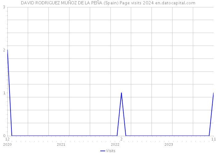 DAVID RODRIGUEZ MUÑOZ DE LA PEÑA (Spain) Page visits 2024 