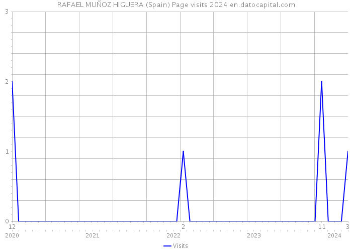 RAFAEL MUÑOZ HIGUERA (Spain) Page visits 2024 