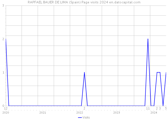 RAPFAEL BAUER DE LIMA (Spain) Page visits 2024 