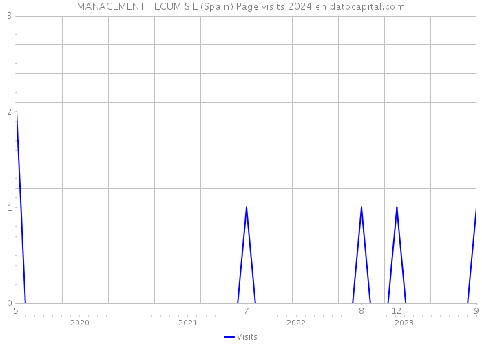 MANAGEMENT TECUM S.L (Spain) Page visits 2024 