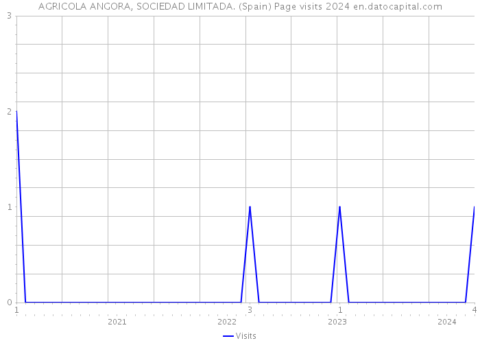 AGRICOLA ANGORA, SOCIEDAD LIMITADA. (Spain) Page visits 2024 