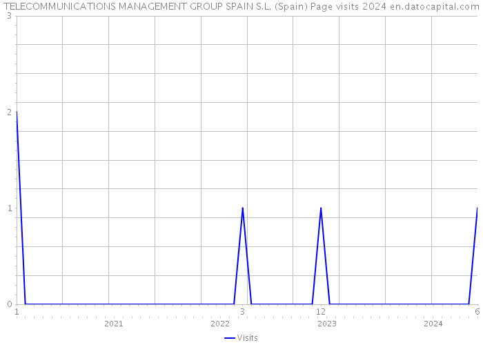 TELECOMMUNICATIONS MANAGEMENT GROUP SPAIN S.L. (Spain) Page visits 2024 